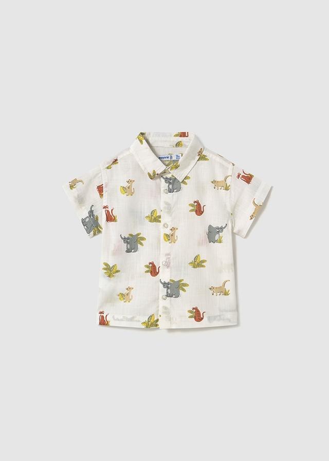 Camisas