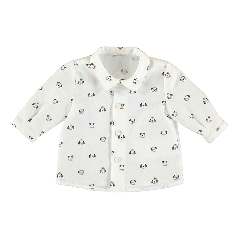 Camisas